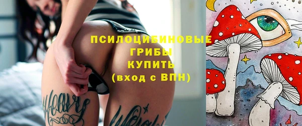 прущий лед Гусев