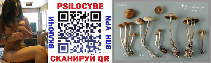Галлюциногенные грибы Psilocybe Купить Асбест