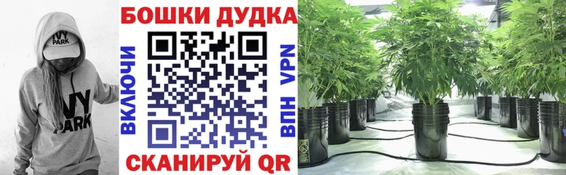 МАРИХУАНА White Widow  Купить где  Асбест 